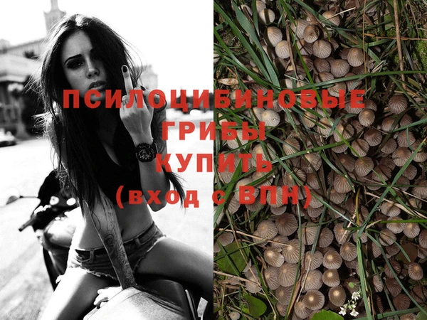 амф Саки