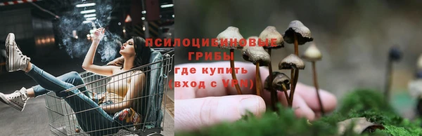 МДМА Елизово