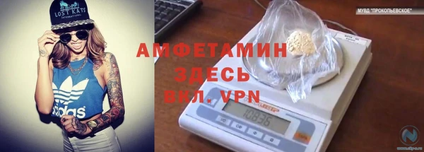 ПСИЛОЦИБИНОВЫЕ ГРИБЫ Ельня