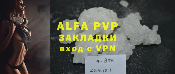 ПСИЛОЦИБИНОВЫЕ ГРИБЫ Ельня