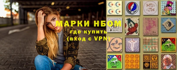 ПСИЛОЦИБИНОВЫЕ ГРИБЫ Ельня