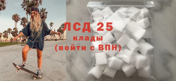 ПСИЛОЦИБИНОВЫЕ ГРИБЫ Ельня