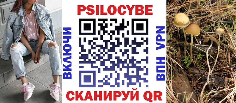 Псилоцибиновые грибы MAGIC MUSHROOMS  закладка  Липецк 