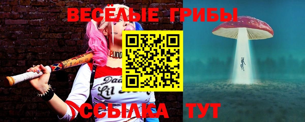 Россия  Псилоцибиновые грибы Cubensis  Псилоцибиновые грибы мицелий  Вход с VPN 