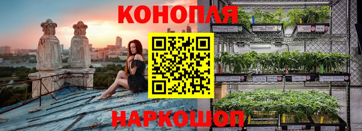 Марихуана планчик Россия